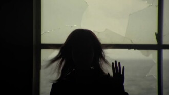 Noriko's Dinner Table Trailer