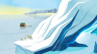 Northern Lights Trailer