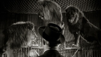 Not Afraid of Big Animals Trailer