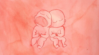 Not Enough Womb for the Two of Us Trailer