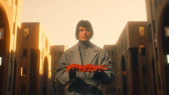 Nourrir les cygnes Trailer