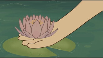 Nymphaea Trailer
