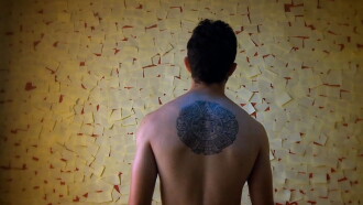 O Estranho Trailer