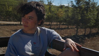 O Pomar Trailer