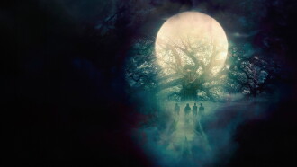 Oak Trailer