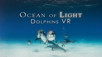 Ocean of Light - Dolphins VR Trailer
