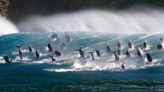 Oceans: Our Blue Planet Trailer