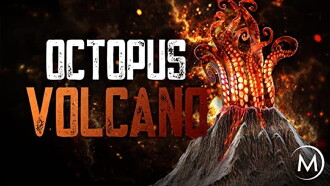 Octopus Volcano Trailer