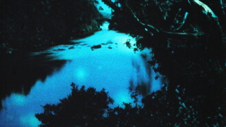 Of This Beguiling Membrane Trailer