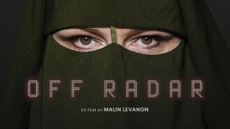 Off Radar Trailer