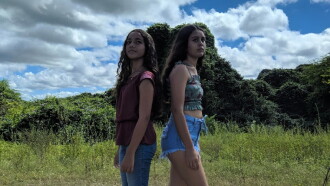 Oiticica do Bode Trailer