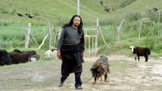 Old Dog Trailer
