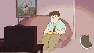 Omelette Trailer