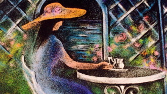 On the Beautiful Blue Danube Trailer