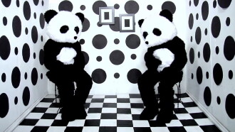 On the Marriage Broker Joke as Cited by Owen Land...in the Film 'On the Marriage Broker Joke as Cited by Sigmund Freud in Wit and Its Relation to the Unconscious, or Can the Avant-Garde Artist Be Wholed?' Trailer