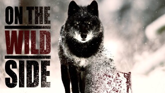 On The Wild Side Trailer