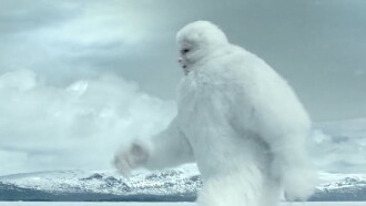 On the Yeti Trail Trailer