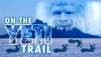 On the Yeti Trail Trailer