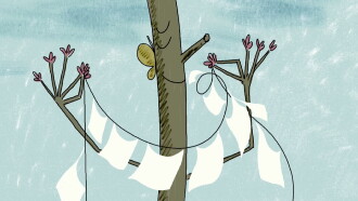 One, Two, Tree Trailer