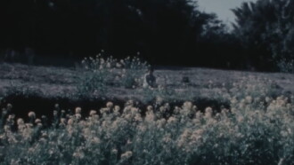 Open Eyes Trailer