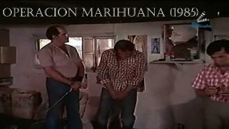 Operation Marihuana Trailer