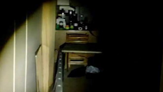 Optica Trailer