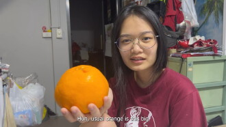 Orange Business Trailer