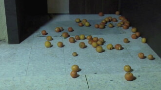Oranges Trailer