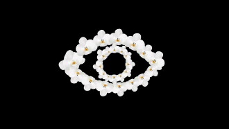 Orchid Eye Trailer