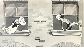 Organ Grinder's Swing Trailer