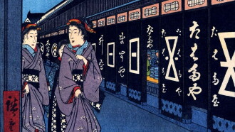 Osamekamaijo The Art of Sexual Love in the Edo Period Technique Guide Trailer