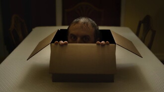 Other Side of the Box Trailer