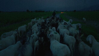 Our Wolves Trailer