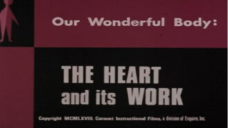 Our Wonderful Body: The Heart and Its Work Trailer