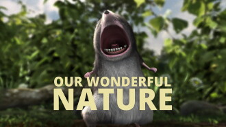 Our Wonderful Nature Trailer