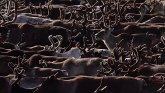 Oural, à la poursuite de l’automne Trailer