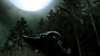 Out of a Forest Trailer