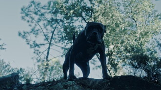Outside Is Free Trailer