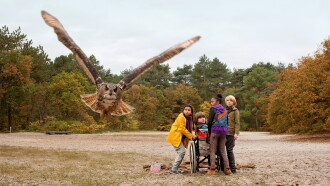 Owls & Mice Trailer