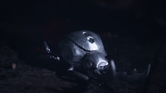 #P0ZME Trailer