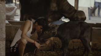 Paanha Trailer