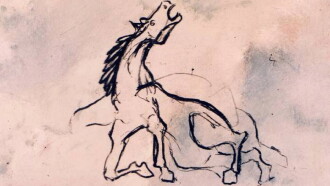 Pablo Picasso Trailer