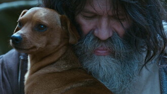 Pack of Dogs Trailer