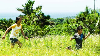 Panay Trailer