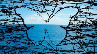 Papillon Trailer