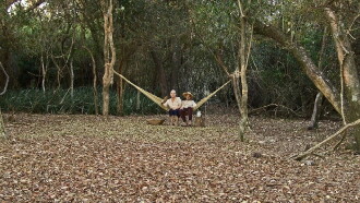 Paraguayan Hammock Trailer