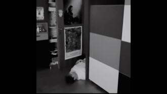 Paralysis Trailer