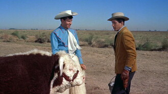 Pardners Trailer