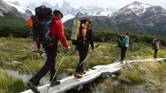 Patagonia Wings Trailer