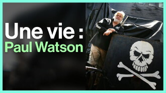 Paul Watson : comment devenir un pirate écolo Trailer